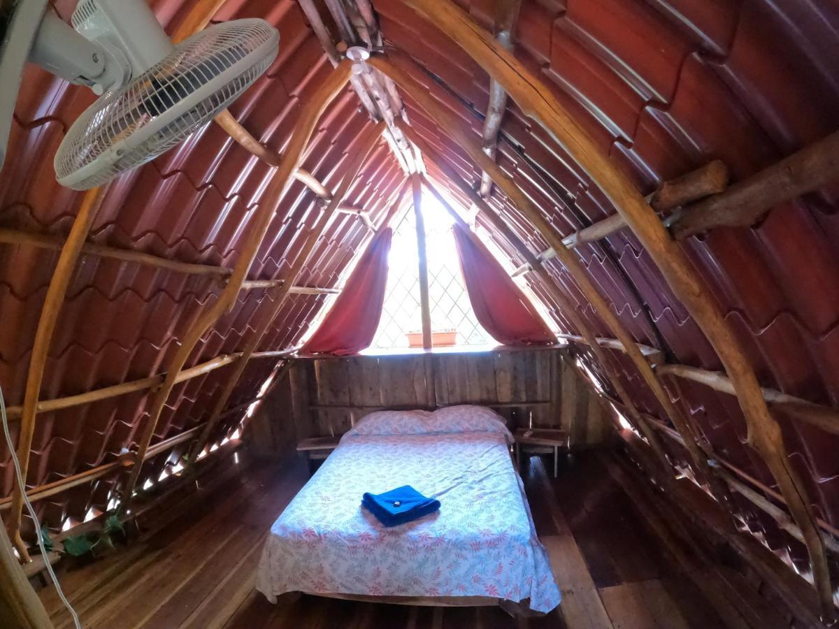Tree House Samanea Lodge Пуэрто-Лимон Экстерьер фото