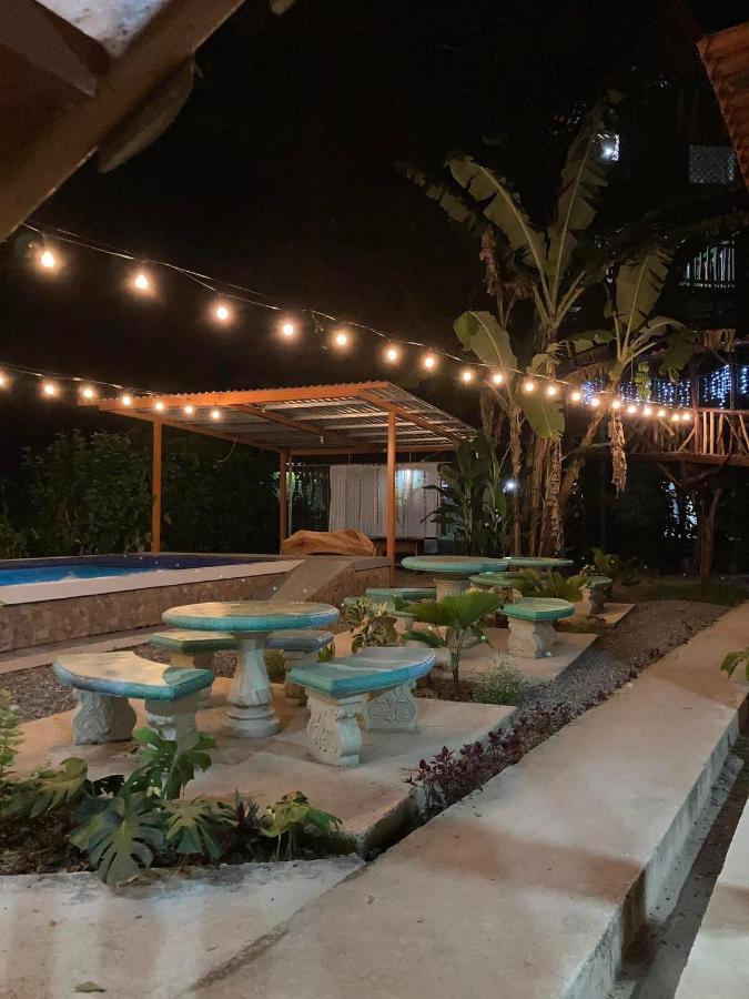 Tree House Samanea Lodge Пуэрто-Лимон Экстерьер фото