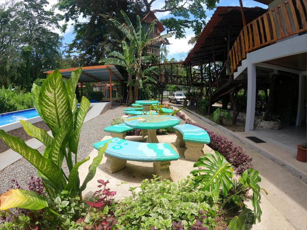 Tree House Samanea Lodge Пуэрто-Лимон Экстерьер фото