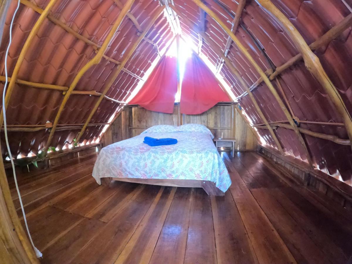 Tree House Samanea Lodge Пуэрто-Лимон Экстерьер фото