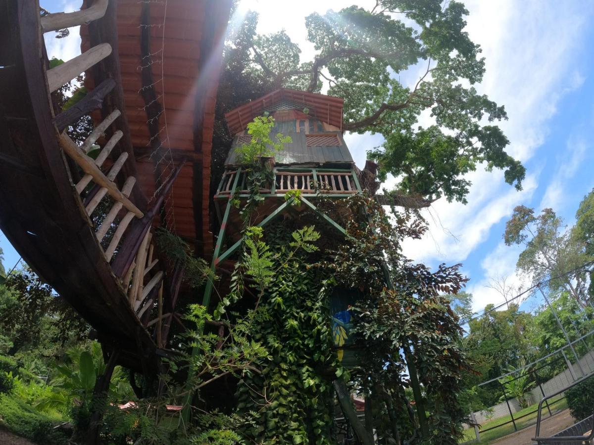 Tree House Samanea Lodge Пуэрто-Лимон Экстерьер фото