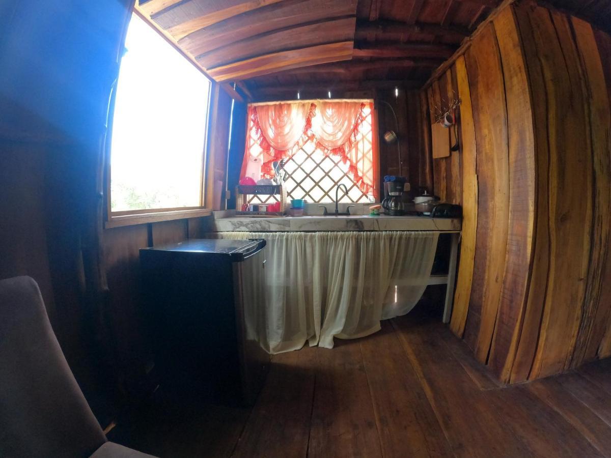 Tree House Samanea Lodge Пуэрто-Лимон Экстерьер фото